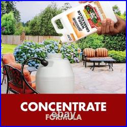 6 Pack Spectracide Weed & Grass Killer Concentrate 64 oz Each SIX BOTTLES