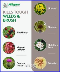 ALLIGARE Triclopyr Herbicide 4 EC Selective Weed Killer for Woody Plants, B