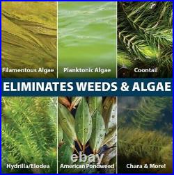 Airmax Easy Klear Defense 2 In 1 Granular Algae & Aquatic Weed ControlFREE SHIP