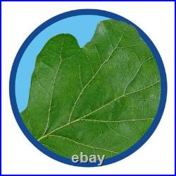 BioAdvanced 12 Month Tree Shrub Protect & Feed, Concentrate-1 Gal Insect Killer