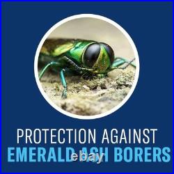 BioAdvanced 12 Month Tree and Shrub Protect and Feed for Insects, Granules, 10lb