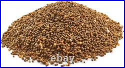 BioAdvanced 12 Month Tree and Shrub Protect and Feed for Insects, Granules, 20lb