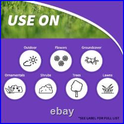 Bonide 603 Annual Grub Beater Lawn Grub Killer 6 lbs 5,000 sq ft Coverage