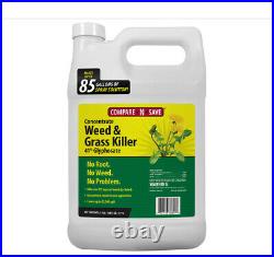 Compare-N-Save 016869 Concentrate Grass and Weed Killer, 41-Percent Glyphosate