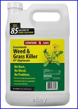 Compare-N-Save 016869 Concentrate Grass and Weed Killer, 41-Percent Glyphosate