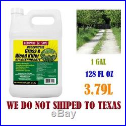 Compare-N-Save Concentrate Grass and Weed Killer, 41-Percent Glyphosate 1-Gallon