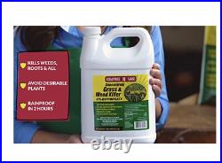 Compare-N-Save Concentrate Grass and Weed Killer, 41-Percent Glyphosate, 2.5-Ga