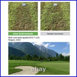 Drive XLR8 Post-Emergence Herbicide 2.5 Gal By BASF