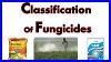 Fungicides Classification Based On Mode Of Action Systemic And Contact Pesticides