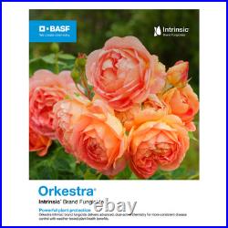 Orkestra Intrinsic Brand Fungicide for Landscape Ornamentals 16 fl oz by BASF