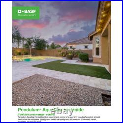 Pendulum AquaCap Herbicide 2.5 Gallon Jug by BASF