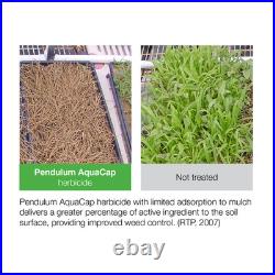 Pendulum AquaCap Herbicide 2.5 Gallon Jug by BASF