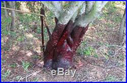 Remedy Ultra Original Herbicide Triclopyr 4E Garlon 4 Brush Tree Stump Killer