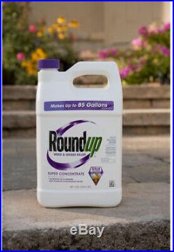 Roundup Weed and Grass Killer 1 Gal. 50% Super Concentrate Weed Wilt In 2-4 Days
