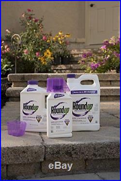 Roundup Weed and Grass Killer Super Concentrate, 1/2-Gallon Free Shipping