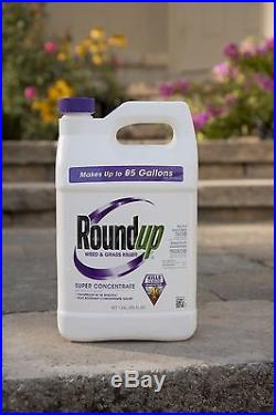 Roundup Weed and Grass Killer Super Concentrate 1-Gallon