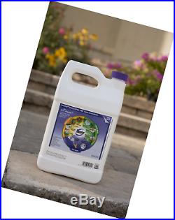 Roundup Weed and Grass Killer Super Concentrate, 1-Gallon