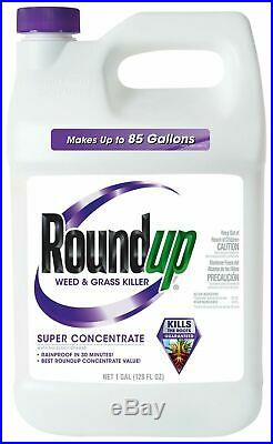 Roundup Weed and Grass Killer Super Concentrate, 1-Gallon 1 GAL