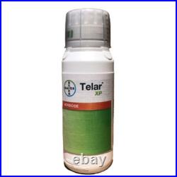 Telar XP 8oz