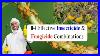 Top Insecticide And Fungicide Combinations For Effective Crop Protection