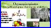 Unit 6 Lecture 5 Pesticides