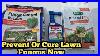 Use These Products To Prevent Or Cure Lawn Fungus And Disease Now Explained