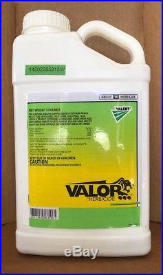 Valor SX Herbicide (5 Pounds)