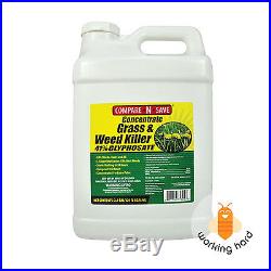 WEED AND GRASS KILLER Concentrate 41 Percent Glyphosate 2.5 Gallon Plant Control