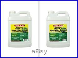 WEED AND GRASS KILLER Concentrate 41 Percent Glyphosate 2.5 Gallon Plant Control