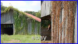 Weed Preventer 1 Gal Glyphosate Plus Total Vegetation Driveway Barn Grass Killer