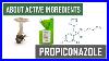 What Is Propiconazole How To Use Propiconazole Fungicides