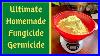 Worlds Strongest Natural Fungicide Say Goodbye To Plant Diseases How To Make Jadam Sulfur